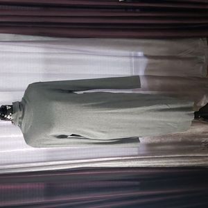 Express turtle neck dress